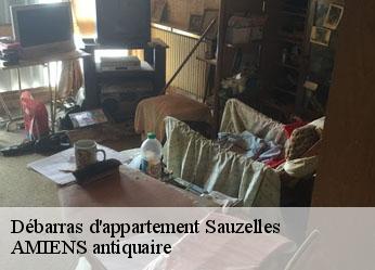 Débarras d'appartement  sauzelles-36220 AMIENS antiquaire