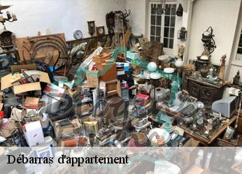 Débarras d'appartement  sauzelles-36220 AMIENS antiquaire