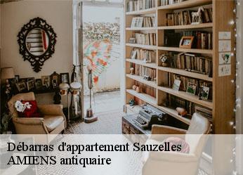 Débarras d'appartement  sauzelles-36220 AMIENS antiquaire